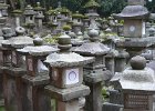 2008-04-02- NARA-P1010787